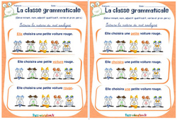 Déterminant, nom, adjectif qualificatif, verbe et pronom personnel - Rituels - La classe grammaticale : 4ème, 5ème Harmos - PDF à imprimer