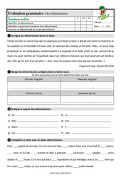 Les déterminants - Étude de la langue - Examen Evaluation avec la correction : 5ème Harmos - PDF à imprimer