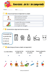 Lire, écrire et comprendre des mots/des phrases - Fiches Exercices de lecture : 3eme, 4ème Harmos - PDF à imprimer