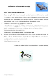 Le faucon et le canard sauvage - Lecture - Conte : 8ème Harmos - PDF à imprimer