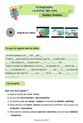 Le pluriel des noms - Soutien scolaire pour les élèves en difficulté. : 5ème Harmos - PDF à imprimer