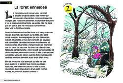 La forêt enneigée - Lecture - Compréhension fine - Inférences : 4ème Harmos - PDF à imprimer