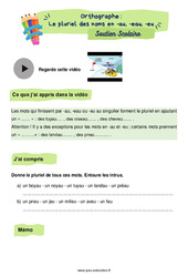 Le pluriel des noms en - au, - eau, - eu - Soutien scolaire pour les élèves en difficulté. : 4ème Harmos - PDF à imprimer