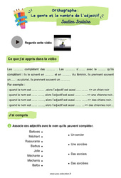 Le genre et le nombre de l’adjectif - Soutien scolaire pour les élèves en difficulté : 4ème Harmos - PDF à imprimer