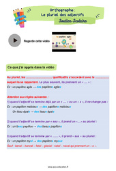 Le pluriel des adjectifs - Soutien scolaire pour les élèves en difficulté. : 7ème Harmos - PDF à imprimer