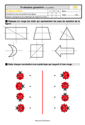 La symétrie - Évaluation, bilan : 4ème Harmos - PDF à imprimer