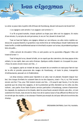 Les cigognes - Lecture - Compréhension : 6ème, 7ème Harmos - PDF à imprimer