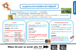 Le genre et le nombre de l’adjectif - Cours, Leçon, trace écrite : 6ème Harmos - PDF gratuit à imprimer