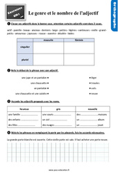 Le genre et le nombre de l’adjectif - Exercices, révisions : 6ème Harmos - PDF à imprimer