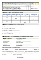 Le genre et le nombre de l’adjectif - Évaluation, bilan : 6ème Harmos - PDF à imprimer