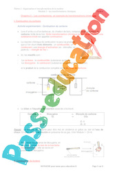 Les combustions, un exemple de transformations chimiques - Séquence complète : 10ème Harmos - PDF à imprimer