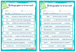 Homophones grammaticaux (a - à - on - ont) - Rituels - Orthographe : 6ème, 7ème Harmos - PDF à imprimer