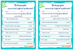 Accord de l’adjectif qualificatif - Rituels - Orthographe : 6ème, 7ème Harmos - PDF à imprimer