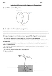 Développement des végétaux - Examen Evaluation : 5ème, 6ème Harmos - PDF à imprimer