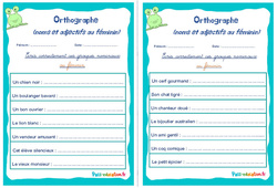 Noms et adjectifs au féminin - Rituels - Orthographe : 6ème, 7ème Harmos - PDF à imprimer