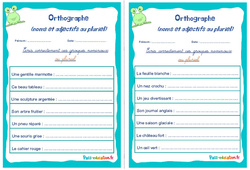 Noms et adjectifs au pluriel - Rituels - Orthographe : 6ème, 7ème Harmos - PDF à imprimer