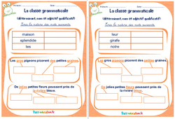 Déterminant, nom et adjectif qualificatif - Rituels - La classe grammaticale : 6ème, 7ème Harmos - PDF à imprimer