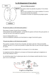 Développement d'une plante - Cours, Leçon - Sciences : 5ème, 6ème Harmos - PDF gratuit à imprimer