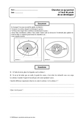 Développement de l'oeuf de poule - Exercices - Sciences : 6ème, 7ème Harmos - PDF à imprimer