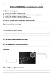 Reproduction animale - Examen Evaluation : 6ème, 7ème Harmos - PDF à imprimer