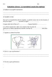 Reprodution sexuée des végétaux - Examen Evaluation : 5ème, 6ème Harmos - PDF à imprimer