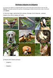 Animaux ovipares et vivipares - Exercices - Sciences : 6ème, 7ème Harmos - PDF à imprimer