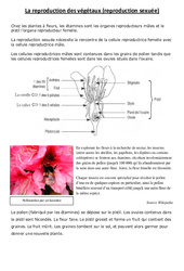 Reproduction des végétaux - Exercices - Sciences : 5ème, 6ème Harmos - PDF à imprimer