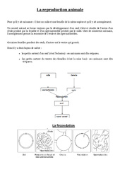 Reproduction animale - Exercices - Sciences : 6ème, 7ème Harmos - PDF à imprimer