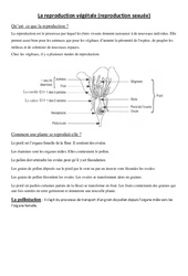 Reproduction végétale - Exercices - Sciences : 5ème, 6ème Harmos - PDF à imprimer