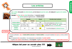 Les articles - Cours, Leçon, trace écrite : 7ème Harmos - PDF gratuit à imprimer