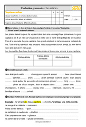 Les articles - Évaluation, bilan avec la correction : 7ème Harmos - PDF à imprimer