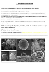 Reproduction humaine - Exercices - Sciences : 7ème Harmos - PDF à imprimer