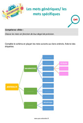 Les mots génériques/ les mots spécifiques - Séance découverte à manipuler : 6ème Harmos - PDF à imprimer