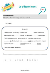 Le déterminant - Séance découverte à manipuler : 4ème Harmos - PDF à imprimer