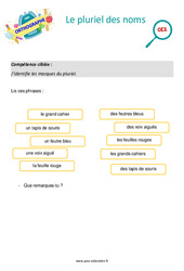 Le pluriel des noms - Séance découverte à manipuler : 5ème Harmos - PDF à imprimer