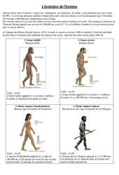 Evolution de l'homme - Exercices - Sciences : 7ème Harmos - PDF à imprimer