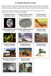 Evolution des premiers êtres vivants - Exercices - Sciences : 7ème Harmos - PDF à imprimer