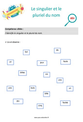 Le singulier et le pluriel du nom - Séance découverte à manipuler : 4ème Harmos - PDF à imprimer