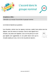 L’accord dans le groupe nominal - Séance découverte à manipuler : 5ème Harmos - PDF à imprimer