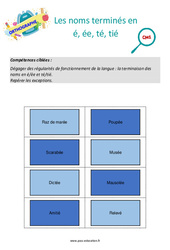 Les noms terminés en é, ée, té, tié - Séance découverte à manipuler : 6ème Harmos - PDF à imprimer