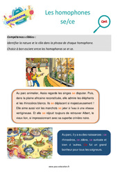 Les homophones se/ce - Séance découverte à manipuler : 4ème Harmos - PDF à imprimer