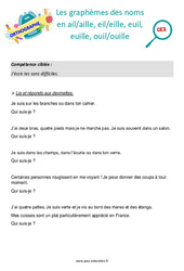 Les graphèmes des noms en ail/aille, eil/eille, euil, euille, ouil/ouille - Séance découverte à manipuler : 5ème Harmos - PDF à imprimer