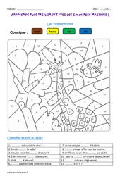 Homophones - Coloriage magique : 6ème Harmos - PDF à imprimer