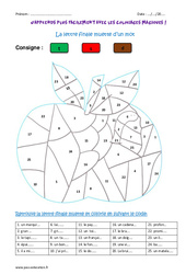 Lettre finale muette d’un mot - Coloriage magique : 7ème Harmos - PDF à imprimer