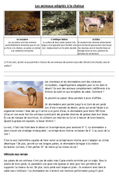 Animaux adaptés à la chaleur - Exercices - Sciences : 6ème, 7ème Harmos - PDF à imprimer