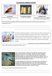 Animaux adaptés au froid - Exercices - Sciences : 6ème, 7ème Harmos - PDF à imprimer