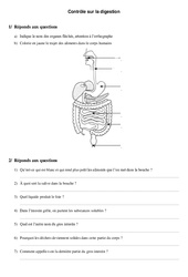 Digestion - Examen Evaluation : 5ème, 6ème Harmos - PDF à imprimer