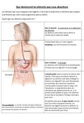 Que deviennent les aliments que nous absorbons - Exercices - Sciences : 5ème, 6ème Harmos - PDF à imprimer