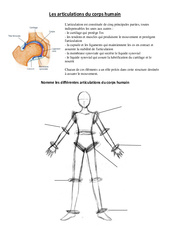 Articulations du corps humain - Exercices - Sciences : 5ème, 6ème Harmos - PDF à imprimer