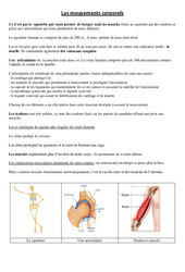 Mouvements corporels - Cours, Leçon - Sciences : 5ème, 6ème Harmos - PDF gratuit à imprimer